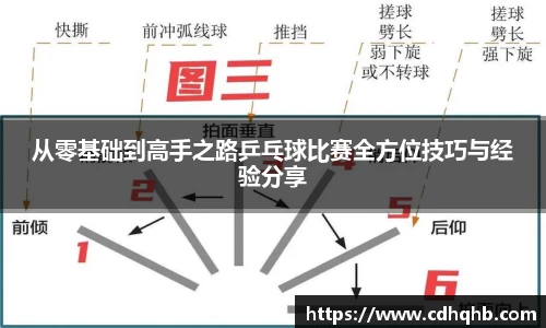 乐竞体育官网